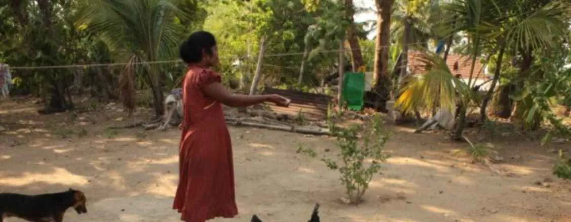 Livelihoods, Badulla Road, Batticaloa